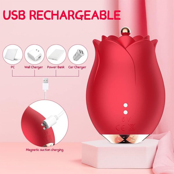 New rose teasing point pen with replaceable vibration head for women